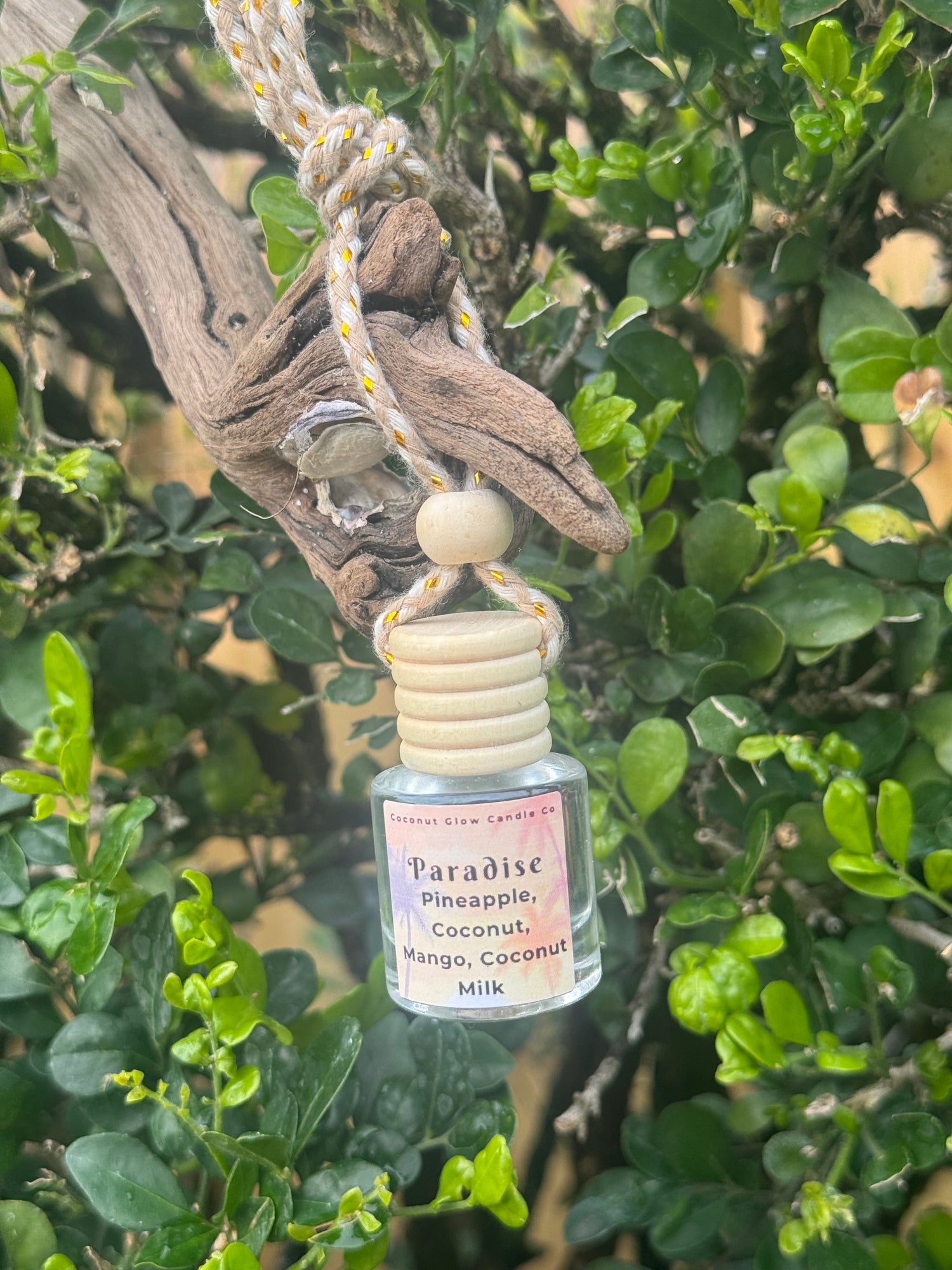 Car Diffusers featuring a Paradise scent bottle with wooden cap and tropical design.