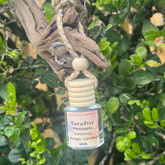 Car Diffusers featuring a Paradise scent bottle with wooden cap and tropical design.