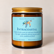 Intracoastal