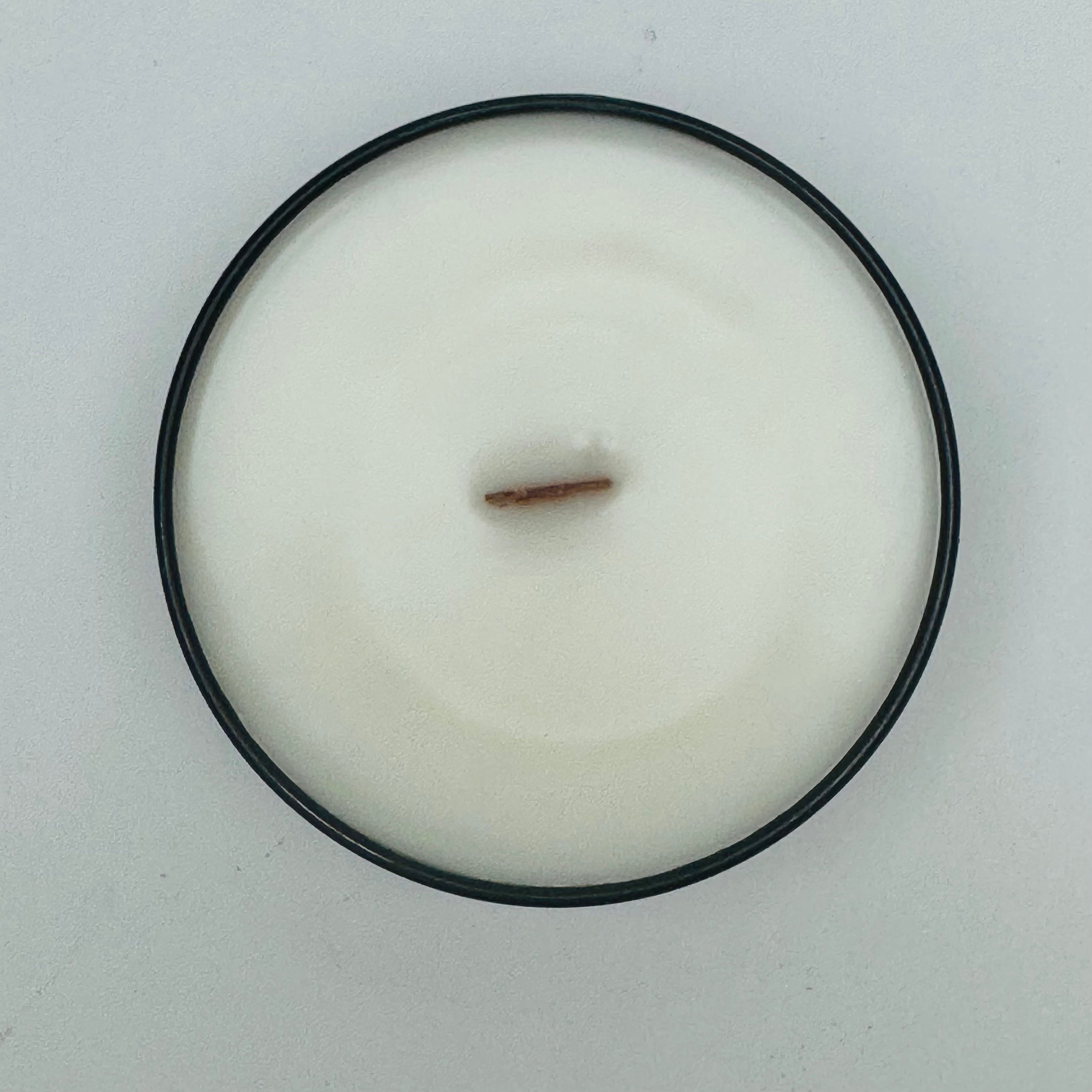 Champagne Toast Travel Tin Coconut Wax Candle